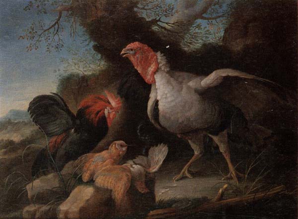 Still life of a turkey,a bantan,a barn owl and a grey partridge in a rocky landscape